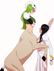 Rule 34 | 1boy, 1girl, absurdres, armor, arrancar, black hair, bleach, breasts, centaur, closed mouth, commentary, crop top, crop top overhang, elbow pads, facial mark, green hair, green shirt, hair between eyes, highres, horns, horse tail, long hair, long sleeves, looking at another, medium breasts, monster girl, multiple legs, nelliel tu odelschwanck, nnoitra gilga, rearing, shirt, shoulder armor, simple background, skull, skull on head, standing, tail, taur, teeth, torn clothes, torn shirt, tsukizawr, white background, white shirt, yellow eyes