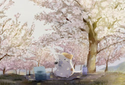 Rule 34 | animal, blanket, bottle, box, cat, cherry blossoms, cup, dappled sunlight, drink, drinking, food, hanami, highres, holding, holding cup, holding drink, holding food, no humans, onigiri, original, outdoors, sapico, scenery, spring (season), sunlight, tree, water bottle