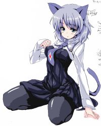 Rule 34 | 1girl, animal ears, blue eyes, breasts, cat ears, medium breasts, necktie, pantyhose, sanya v. litvyak, seiza, short hair, silver hair, sitting, solo, strike witches, world witches series, zizi (zz22)