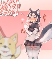 Rule 34 | 1girl, animal, animal ears, ass, black hair, blood, blue eyes, blurry, blurry foreground, blush, bodystocking, denka (denka ilst), dog, dog ears, dog girl, dog tail, drooling, from behind, fur-trimmed sleeves, fur trim, furrowed brow, hand up, highres, in heat, jacket, kemono friends, layered sleeves, long sleeves, looking at another, looking back, medium hair, microskirt, multicolored clothes, multicolored hair, multicolored jacket, nose blush, nosebleed, pantyhose, pleated skirt, pussy juice, short over long sleeves, short sleeves, siberian husky (kemono friends), skirt, solo focus, standing, sweat, tail, thigh gap, translation request, trembling, twisted torso, two-tone hair, two-tone jacket, wet, wet clothes, white hair