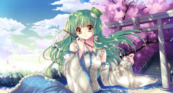Rule 34 | 1girl, bad id, bad pixiv id, blunt bangs, cherry blossoms, detached sleeves, female focus, frog, gohei, green hair, hair ornament, japanese clothes, kochiya sanae, miko, petals, smile, snake, solo, sousouman, stairs, sunlight, torii, touhou, wind, yellow eyes