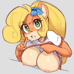 Rule 34 | 1girl, ahoge, alternate breast size, angry, animal ears, blonde hair, blue flower, blush, body fur, breasts, clenched teeth, clothes lift, coco bandicoot, crash bandicoot (series), embarrassed, female focus, finger to mouth, flashing, flower, furry, furry female, green eyes, grey background, hair flower, hair ornament, hands up, huge ahoge, huge breasts, lifted by self, long hair, looking at viewer, nipples, no bra, ponytail, shiny skin, shirt, shirt lift, short sleeves, shushing, sidelocks, simple background, sketch, solo, sweat, teeth, upper body, wamudraws, white shirt