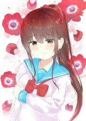 Rule 34 | 1girl, 7 calpis 7, anemone (flower), arm grab, blue sailor collar, blush, bow, brown eyes, brown hair, closed mouth, commentary request, crying, crying with eyes open, floral background, flower, hair between eyes, hair bow, highres, long hair, long sleeves, looking at viewer, original, petals, ponytail, red bow, red flower, sailor collar, school uniform, serafuku, shirt, sidelocks, sleeves past wrists, solo, tears, upper body, very long hair, white shirt