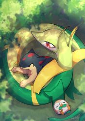Rule 34 | closed eyes, commentary request, creatures (company), day, from above, game freak, gen 2 pokemon, gen 5 pokemon, gen 7 pokemon, highres, lying, nintendo, no humans, nullma, on back, outdoors, pokemon, pokemon (creature), quilava, red eyes, rowlet, serperior, signature, sleeping, toes