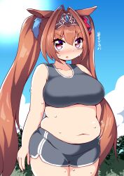 Rule 34 | 1girl, animal ears, blue background, blue sky, blush, breasts, brown hair, cloud, cloudy sky, collarbone, commentary request, cowboy shot, daiwa scarlet (umamusume), day, dolphin shorts, dot nose, hair between eyes, highres, horse girl, large breasts, long hair, looking at viewer, muffin top, navel, outdoors, parted lips, pink eyes, plump, purple eyes, shiyo hodaka, shorts, sky, solo, sun, sweat, thick thighs, thighs, translation request, twintails, umamusume, very long hair
