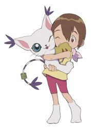 Rule 34 | blue eyes, brown hair, digimon, digimon (creature), digimon adventure, hamoo8686, happy, highres, holding, hug, looking at viewer, one eye closed, short hair, simple background, socks, tongue, tongue out, white background, white socks, yagami hikari