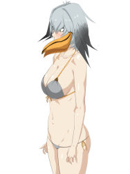 Rule 34 | 10s, 1girl, bikini, bird wings, blush, breasts, cleavage, collarbone, front-tie top, gradient hair, green eyes, grey bikini, head wings, highres, kemono friends, large breasts, multicolored hair, navel, shoebill (kemono friends), short hair, side-tie bikini bottom, simple background, skindentation, solo, swimsuit, tsubooi, white background, wings
