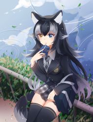 Rule 34 | 10s, 1girl, animal ears, bag, black hair, black thighhighs, blue eyes, blush, breasts, fur collar, grey wolf (kemono friends), heterochromia, highres, kemono friends, long hair, long sleeves, looking at viewer, medium breasts, multicolored hair, necktie, open mouth, school uniform, silver hair, sitting, skirt, solo, symbol-shaped pupils, tail, thighhighs, two-tone hair, water, wolf ears, wolf tail, yellow eyes