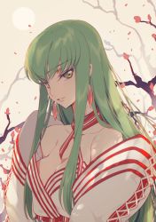 Rule 34 | 1girl, bare shoulders, breasts, c.c., cleavage, code geass, collarbone, commentary request, creayus, earrings, fringe trim, green hair, head tilt, jewelry, long hair, long sleeves, looking at viewer, medium breasts, outdoors, parted lips, petals, sidelocks, solo, sun, upper body, wind, yellow eyes