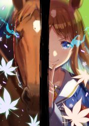 Rule 34 | 1girl, animal, animal ears, blue eyes, brown hair, commentary request, creature and personification, glowing, glowing eye, grass wonder (racehorse), grass wonder (umamusume), highres, horse, horse ears, horse girl, index finger raised, leaf, long hair, maple leaf, nino (shira), smile, umamusume