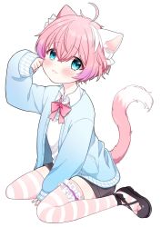 Rule 34 | 1boy, animal ears, blue eyes, blush, cat boy, cat ears, cat tail, chocola vt, crying, highres, indie virtual youtuber, long sleeves, looking at viewer, mao yugen, official art, pale skin, pink hair, sitting, solo, striped clothes, striped thighhighs, tail, tearing up, thighhighs, trap, virtual youtuber, wariza, white background