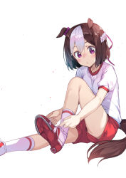 Rule 34 | 1girl, animal ears, bow, braid, brown hair, closed mouth, commentary request, gym shirt, gym shorts, gym uniform, hair between eyes, hair bow, hair ribbon, highres, horse ears, horse girl, horse tail, multicolored hair, newey, puffy short sleeves, puffy sleeves, purple bow, purple eyes, purple ribbon, red shorts, ribbon, shirt, shoes, short shorts, short sleeves, shorts, sitting, sneakers, socks, solo, special week (umamusume), streaked hair, tail, tying shoes, umamusume, white background, white footwear, white hair, white shirt, white socks