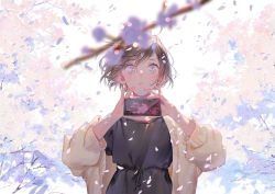 Rule 34 | 1girl, black dress, blue eyes, brown hair, camera phone, cardigan, cellphone, cherry blossoms, day, dress, highres, looking at viewer, ojyou, original, outdoors, petals, phone, short hair, solo, upper body, wind