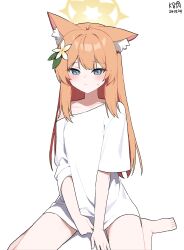 Rule 34 | 1girl, alternate costume, animal ear fluff, animal ears, artist name, barefoot, blue archive, blue eyes, blush, cat ears, closed mouth, commentary, dated, english commentary, flower, hair flower, hair ornament, highres, long hair, looking at viewer, mari (blue archive), myeolchi, orange hair, shirt, short sleeves, signature, simple background, solo, toes, white background, white flower, white shirt