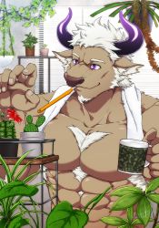 Rule 34 | 1boy, abs, animal ears, bara, brown fur, brush, cactus, camouflage, censored, chest hair, convenient censoring, cow ears, cow horns, furry, furry male, highres, horns, large pectorals, male focus, mature male, minotaur, muscular, muscular male, censored nipples, no headwear, pectorals, plant, purple eyes, purple horns, shennong (housamo), short hair, sideburns, smile, solo, stomach, tokyo houkago summoners, towel, towel around neck, upper body, white hair, yanai inaya