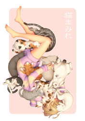 Rule 34 | 1girl, animal, animal on head, animal on shoulder, barefoot, black cat, blonde hair, blunt bangs, border, calico, cat, cat day, cat hair ornament, cat on head, cat on person, cat on shoulder, closed eyes, covered mouth, dress, eyelashes, full body, hair ornament, hairclip, highres, hug, kayu, long legs, long sleeves, lying, on head, on side, original, red background, short hair, solo, striped, surrounded, sweater, sweater dress, too many, too many cats, upside-down