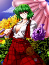 Rule 34 | 1girl, 3:, bad id, bad pixiv id, breasts, cleavage, elephant, female focus, flower, green hair, highres, kazami yuuka, large breasts, lens flare, looking at viewer, ootsuki wataru, open clothes, open shirt, parasol, plaid, plaid skirt, plaid vest, red eyes, shaded face, shirt, short hair, skirt, skirt set, solo, sunflower, touhou, umbrella, vest, watering can