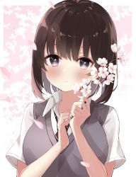 Rule 34 | 1girl, akagikou, black hair, blush, branch, breasts, cherry blossoms, collared shirt, commentary, flower, grey eyes, grey sweater vest, highres, holding, holding branch, looking at viewer, medium breasts, medium hair, necktie, original, petals, pink flower, red necktie, shirt, short sleeves, solo, striped necktie, striped neckwear, sweater vest, symbol-only commentary, white shirt