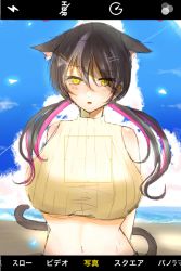 Rule 34 | 1girl, absurdres, animal ear fluff, animal ears, bad id, bad twitter id, beach, black hair, breasts, chisaka airi, cropped sweater, fake screenshot, grey hair, hair behind ear, highres, large breasts, low twintails, multicolored hair, navel, ocean, phase connect, pink hair, ribbed sweater, sketch, solo, streaked hair, sweater, tail, twintails, utatane nasa (artist), virtual youtuber, yellow eyes, yellow sweater