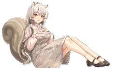 Rule 34 | 1girl, absurdres, animal ears, black footwear, breasts, dress, hands on own chest, highres, legs, lillly, long sleeves, looking at viewer, medium breasts, original, plaid, plaid dress, raccoon ears, raccoon girl, raccoon tail, shoes, short hair, simple background, sitting, solo, tail, white background, white dress, white hair, yellow eyes