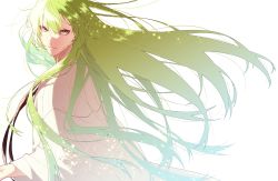 Rule 34 | 1boy, androgynous, enkidu (fate), fate (series), floating hair, from side, fuka (hk nemo), green eyes, green hair, highres, long hair, looking at viewer, looking to the side, male focus, parted lips, robe, simple background, smile, solo, sparkle, upper body, very long hair, white background, wind
