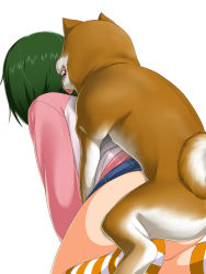 Rule 34 | 1girl, all fours, bestiality, butakoma 300g, clothed sex, dog, doggystyle, from behind, green hair, highres, kneehighs, kneeling, sex, sex from behind, short hair, simple background, socks, striped clothes, striped socks, thighs, vaginal, white background
