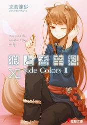 Rule 34 | 1girl, animal ears, ayakura juu, brown hair, coin, copyright name, cover, cover page, highres, holding, holo, long hair, novel cover, official art, one eye closed, red eyes, solo, spice and wolf, tail, wolf ears, wolf tail