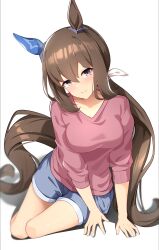 Rule 34 | 1girl, absurdres, admire vega (umamusume), alternate costume, animal ears, arm support, blue shorts, breasts, brown hair, closed mouth, commentary request, dot nose, ear covers, highres, horse ears, horse girl, horse tail, long hair, looking at viewer, low ponytail, medium breasts, pink sweater, red eyes, shorts, simple background, single ear cover, sitting, sleeves rolled up, smile, solo, sunny (20597521), sweater, tail, thighs, umamusume, white background, yokozuwari
