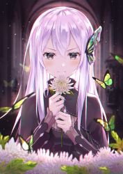 Rule 34 | &gt;:), 1girl, animal, black capelet, black dress, blush, brown eyes, bug, butterfly, butterfly hair ornament, capelet, closed mouth, commentary request, dress, echidna (re:zero), flower, hair between eyes, hair ornament, hands up, highres, holding, holding flower, hyonee, insect, long hair, long sleeves, looking at viewer, purple hair, re:zero kara hajimeru isekai seikatsu, smile, solo, upper body, v-shaped eyebrows, white flower