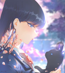 Rule 34 | 1girl, animal, black hair, blue eyes, blurry, blurry background, cat, chinese commentary, closed mouth, commentary request, day, eyelashes, falling petals, flower, from side, hair behind ear, highres, holding, holding animal, holding cat, jacket, komi-san wa komyushou desu, komi shouko, lipstick, long hair, looking down, makeup, neck ribbon, outdoors, petals, pink flower, pink ribbon, ribbon, shirt, signature, solo, upper body, wangza, white shirt