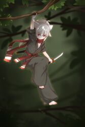 Rule 34 | 1girl, absurdres, animal ears, bandaged hand, bandages, barefoot, belt, black pants, blurry, blurry background, cat ears, cat girl, chinese commentary, commentary request, dagger, dougi, full body, hanging, hanging from tree, highres, holding, holding dagger, holding knife, holding weapon, knife, kuma-bound, long hair, low ponytail, martial arts belt, ninja, original, outdoors, pants, red belt, red eyes, red scarf, scarf, solo, toes, v-shaped eyebrows, weapon, white hair