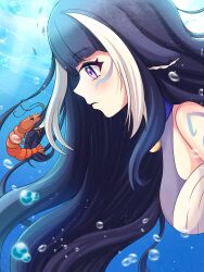 Rule 34 | 1girl, absurdres, blonde hair, body markings, breasts, bubble, facial mark, from side, highres, indie virtual youtuber, large breasts, long hair, miwapeito, multicolored hair, one-piece swimsuit, orca girl, parted lips, purple eyes, see-through, see-through swimsuit, shrimp, shylily, shylily (3rd costume), streaked hair, swimsuit, underwater, virtual youtuber, white hair, white one-piece swimsuit