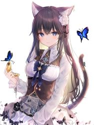 Rule 34 | 1girl, animal ear fluff, animal ears, black bow, blue bow, blue butterfly, blush, bow, breasts, brown hair, bug, butterfly, butterfly on hand, cat ears, cat girl, cat tail, closed mouth, crossed bangs, flower, frills, hair between eyes, hair flower, hair ornament, highres, holding, holding pocket watch, insect, lace, lace-trimmed skirt, lace trim, long hair, long sleeves, looking at viewer, medium breasts, original, pocket watch, pudding cream, purple eyes, shirt, sidelocks, simple background, skirt, smile, solo, tail, tail ornament, tail raised, very long hair, watch, white background, white flower, white shirt