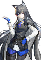 Rule 34 | 1girl, absurdres, animal ear fluff, animal ears, arknights, belt, belt pouch, bijian de linghun, black cape, black hair, black vest, blue gloves, blue necktie, blue shorts, cape, collared shirt, cowboy shot, fingerless gloves, gloves, highres, holding, long hair, long sleeves, looking at viewer, necktie, pantyhose, pantyhose under shorts, parted lips, pouch, red eyes, shirt, short shorts, shorts, sidelocks, simple background, solo, texas (arknights), thigh strap, very long hair, vest, white background, white shirt, wolf ears