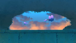 Rule 34 | cloud, cloudy sky, commentary request, fateline alpha, flower, highres, lotus, no humans, original, outdoors, petals, puddle, reflection, scenery, sky, still life, sunset