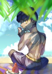 Rule 34 | 1boy, bad id, bad pixiv id, beach towel, bird, black male swimwear, black swim trunks, cloud, commentary request, creatures (company), day, fingernails, food, from behind, fruit, game freak, hand up, highres, hop (pokemon), komame (st beans), looking at viewer, looking back, male focus, male swimwear, nintendo, outdoors, plate, pokemon, pokemon swsh, short hair, sitting, sky, solo, swim trunks, swimsuit, topless male, towel, watermelon, watermelon seeds, yellow eyes