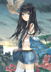 Rule 34 | 1girl, absurdres, bird, black hair, blue eyes, camisole, can, dr pepper, drink can, flower, highres, kami-sama no memo-chou, long hair, looking at viewer, messikid, midriff, night, night sky, off shoulder, profile, shionji yuuko, shorts, sidelocks, sky, smile, soda can, solo, standing, sunset, thighhighs, white thighhighs