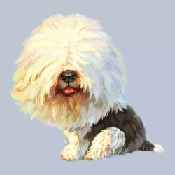 Rule 34 | animal focus, artist request, black fur, blue background, dog tail, hair over eyes, no humans, non-web source, old english sheepdog, original, sitting, source request, tail, third-party source, tongue, tongue out, two-tone fur, white fur