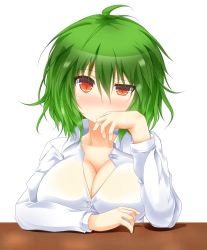 Rule 34 | 1girl, ahoge, blush, breasts, cleavage, green hair, hand to own mouth, highres, kazami yuuka, large breasts, light smile, long sleeves, looking at viewer, red eyes, shirt, solo, sweat, table, touhou, transparent background, uneven eyes, upper body, us2s, white background