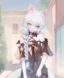 Rule 34 | 1girl, animal ears, artist name, bare shoulders, black dress, blue eyes, cat ears, cat tail, commentary request, dress, head tilt, highres, long braid, long hair, looking at viewer, off-shoulder dress, off shoulder, original, outdoors, sheya, short sleeves, signature, solo, tail, upper body, white hair, yellow eyes