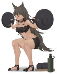 Rule 34 | 1girl, absurdres, act (xadachit), animal ears, bare shoulders, black footwear, black gloves, body markings, bottle, breasts, commission, cr-21 (girls&#039; frontline), dark-skinned female, dark skin, dumbbell, extra ears, full body, girls&#039; frontline, gloves, grey hair, highres, holding, long hair, medium breasts, navel, non-web source, open mouth, solo, squatting, steaming body, sweat, tail, water bottle, weights, yellow eyes