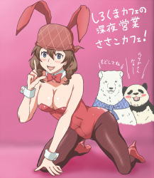 Rule 34 | 1girl, :d, animal ears, banboro (technobot), black pantyhose, blush, bow, bowtie, breasts, brown hair, cleavage, detached collar, fake animal ears, head scarf, high heels, large breasts, leotard, looking at viewer, open mouth, panda, panda (shirokuma cafe), pantyhose, pink background, playboy bunny, rabbit ears, sasako (shirokuma cafe), shirokuma (shirokuma cafe), shirokuma cafe, shoes, smile, translation request, wrist cuffs