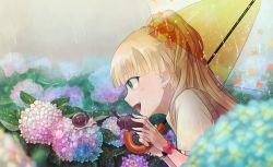 Rule 34 | 10s, 1girl, :d, bad id, bad pixiv id, bangle, beetle, blonde hair, blurry, blush, bracelet, bug, depth of field, fang, flower, from side, green eyes, highres, holding, holding umbrella, hydrangea, idolmaster, idolmaster cinderella girls, insect, jewelry, jougasaki rika, long hair, looking at another, open mouth, pabo, profile, rain, see-through, shirt, short sleeves, smile, snail, solo, star (symbol), star print, stuffed animal, stuffed beetle, stuffed toy, sweater vest, transparent, transparent umbrella, two side up, umbrella, white shirt