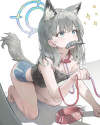 1girl alternate_costume animal_collar animal_ear_fluff animal_ears black_camisole blue_archive blue_halo blue_shorts blush bowl camisole collar commentary cross cross_hair_ornament dolphin_shorts extra_ears grey_hair hair_ornament halo highres inverted_cross looking_up merong_(sou47897) mismatched_pupils pet_bowl pet_play shiroko_(blue_archive) short_hair short_shorts shorts simple_background solo tail white_background wolf_ears wolf_girl wolf_tail