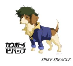 Rule 34 | beagle, character name, cowboy bebop, dog, green hair, highres, logo, spike spiegel