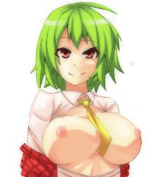 Rule 34 | 1girl, bad id, bad pixiv id, between breasts, breasts, breasts out, closed mouth, collared shirt, green hair, kazami yuuka, kotobuki (stealth sendan), large breasts, long sleeves, looking at viewer, necktie, necktie between breasts, nipples, no bra, off shoulder, open clothes, open shirt, plaid, plaid vest, red eyes, shirt, short hair, smile, solo, touhou, upper body, vest, white shirt, wing collar, yellow necktie