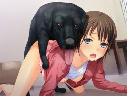 Rule 34 | 1girl, all fours, bestiality, blush, clothed sex, cyclet, dog, doggystyle, game cg, hyper heiki, kankyuu goujuu, kneeling, sex, sex from behind, shinonome mari, sweat, tongue, tongue out, vaginal