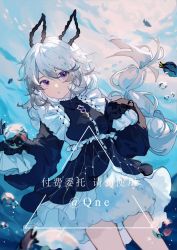 Rule 34 | 1girl, :o, artist name, bad id, bad lofter id, black dress, dress, fish, frilled dress, frills, highres, long hair, long sleeves, looking at viewer, open mouth, original, purple eyes, qqqne, solo, surgeonfish, underwater, water, white hair