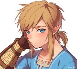 Rule 34 | 1boy, blonde hair, blue eyes, blue shirt, blush, gloves, link, looking at viewer, loz 017, male focus, nintendo, pointy ears, ponytail, shirt, solo, the legend of zelda, the legend of zelda: breath of the wild