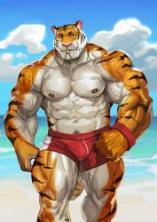 Rule 34 | 1boy, abs, absurdres, armband, bara, beach, biceps, cloud, cloudy sky, day, feet out of frame, furry, furry male, hat, highres, large pectorals, looking at viewer, male focus, male swimwear, manly, mature male, muscular, muscular male, nipples, ocean, original, pectorals, red male swimwear, red swim trunks, sand, shorts, sky, solo, sunlight, swim trunks, thick arms, thick eyebrows, thick thighs, thighs, tiger boy, traver009, veins, veiny arms, walking, water, whistle, whistle around neck
